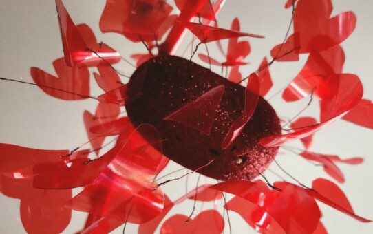 Le rouge de mon cœur