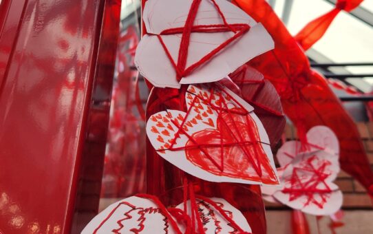 Les secrets du rouge de mon cœur