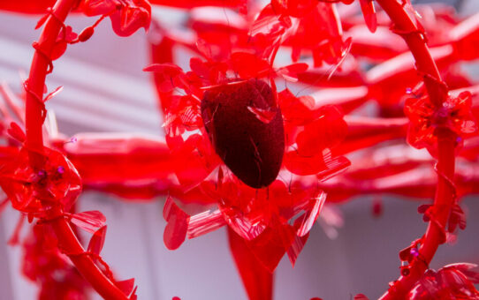 Le rouge de mon cœur 4